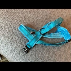Aqua blue padded dog harness.